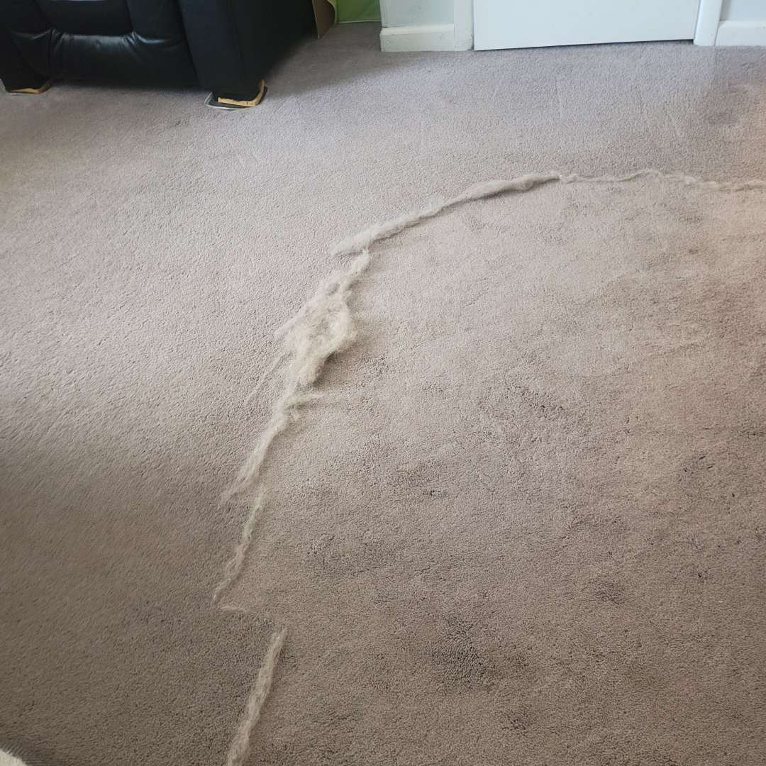 Furthrive Cleaner Pro™