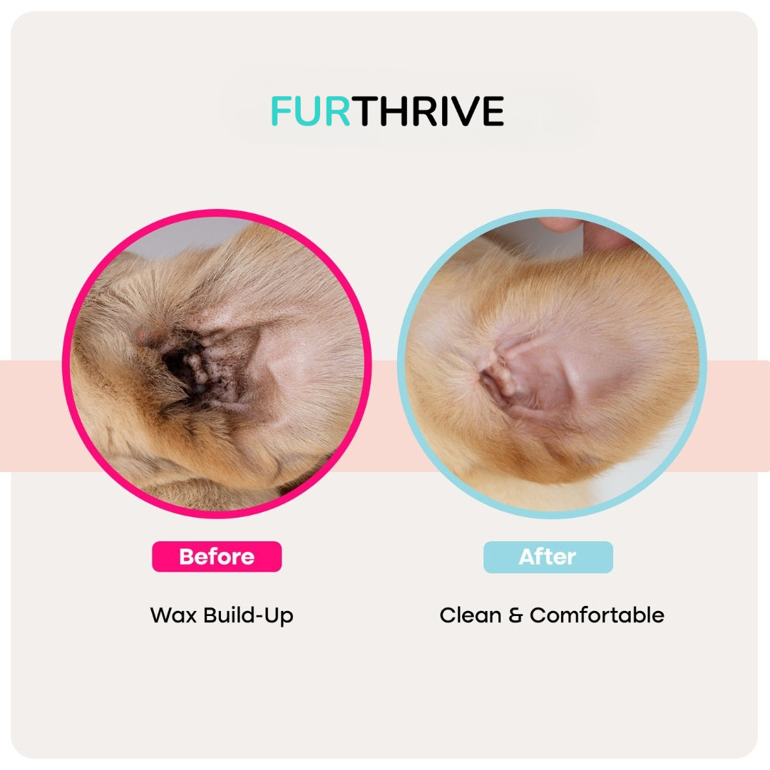 Furthrive Ear Wipes