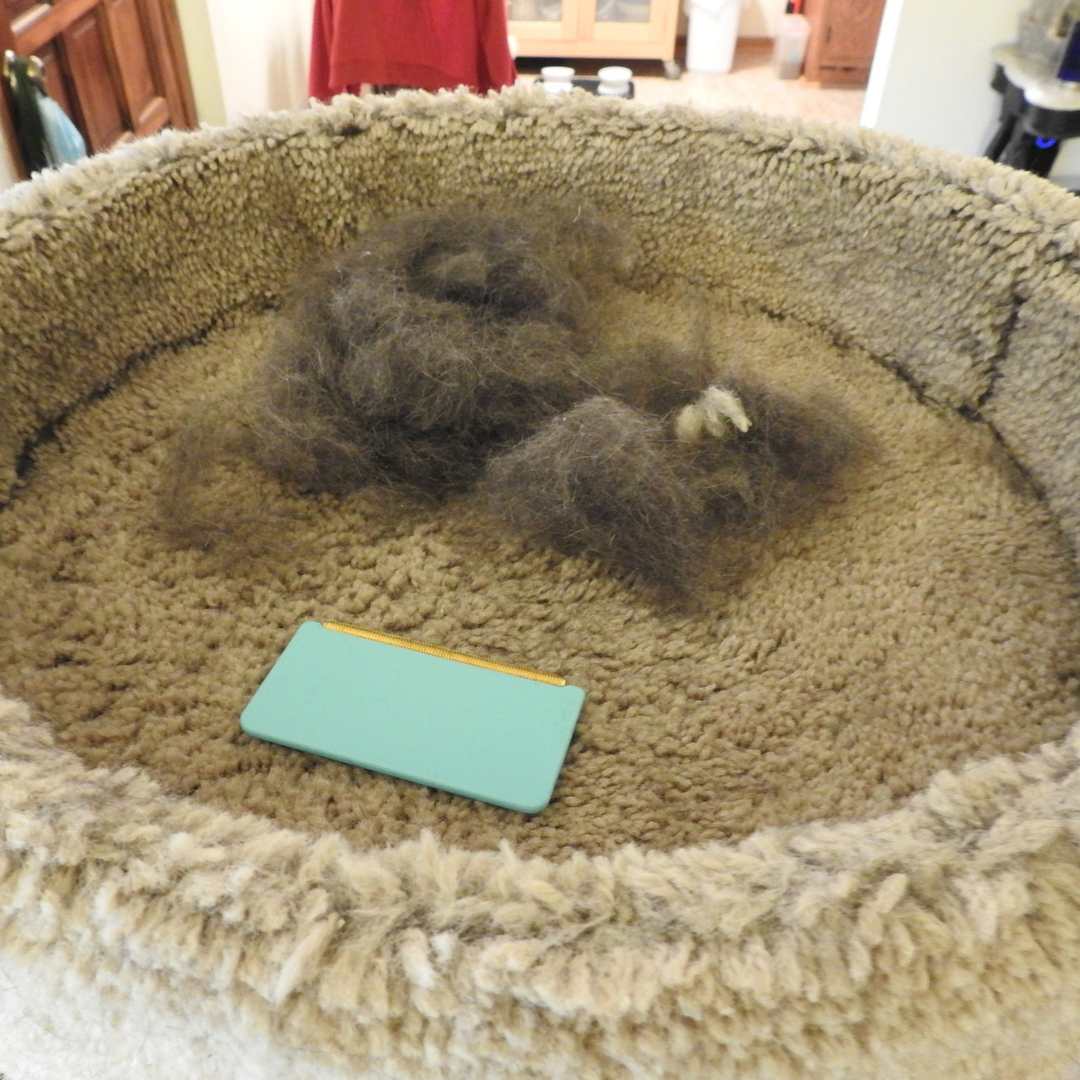 Furthrive Cleaner Mini™