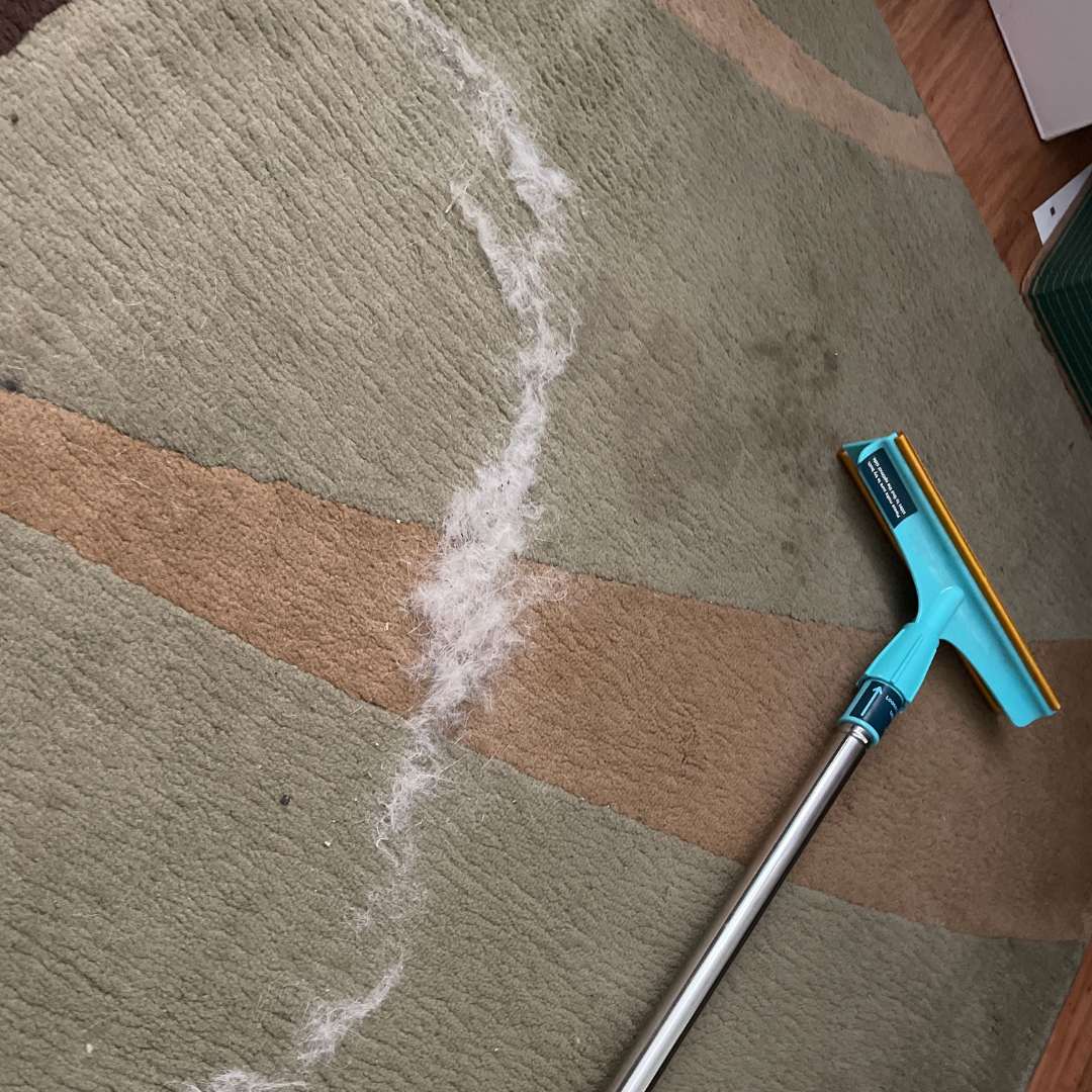 Complete Home Survival Kit - All Furthrive Cleaners